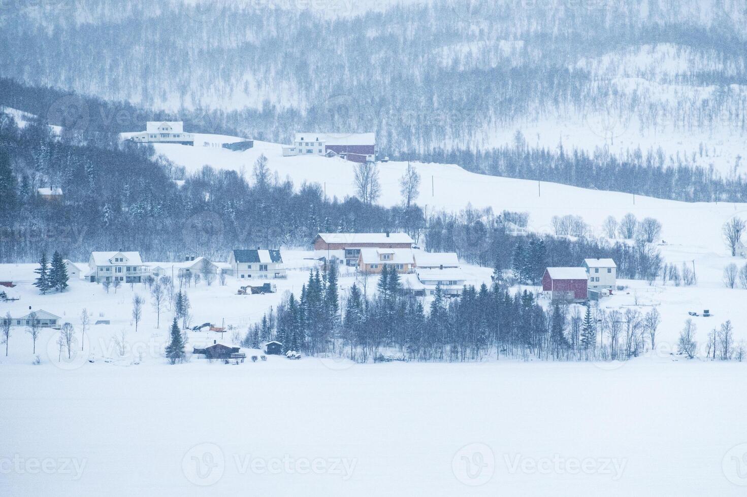 escandinavo pueblo en colina en tormenta de nieve en invierno a lofoten islas foto