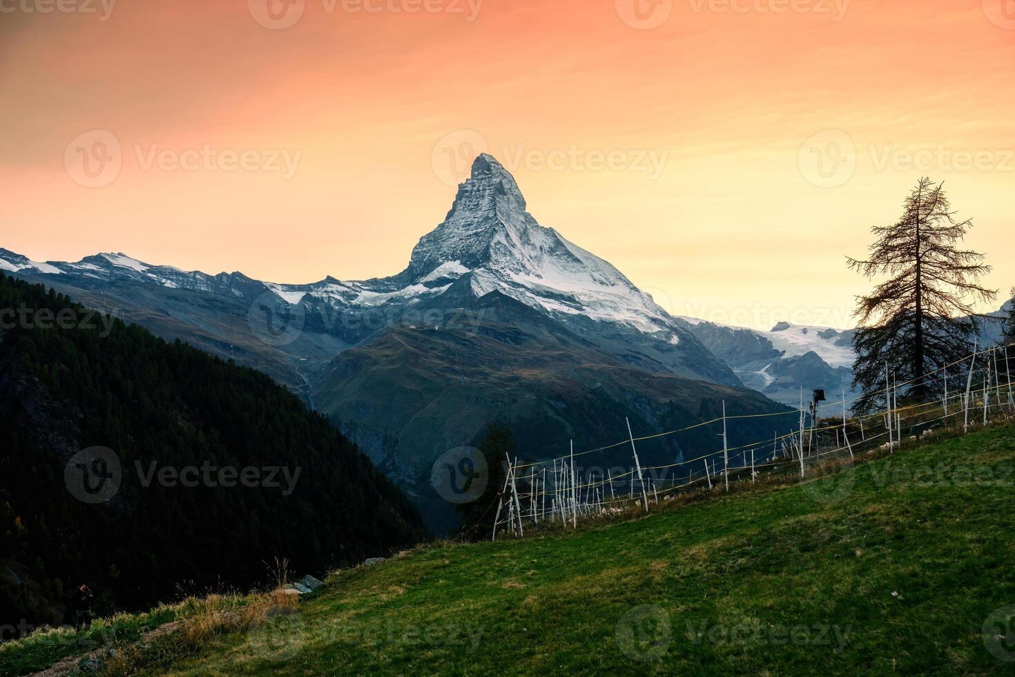 Sunset sky over Matterhorn mountain on Swiss Alps and stall of sheep on hillside in rural scene photo