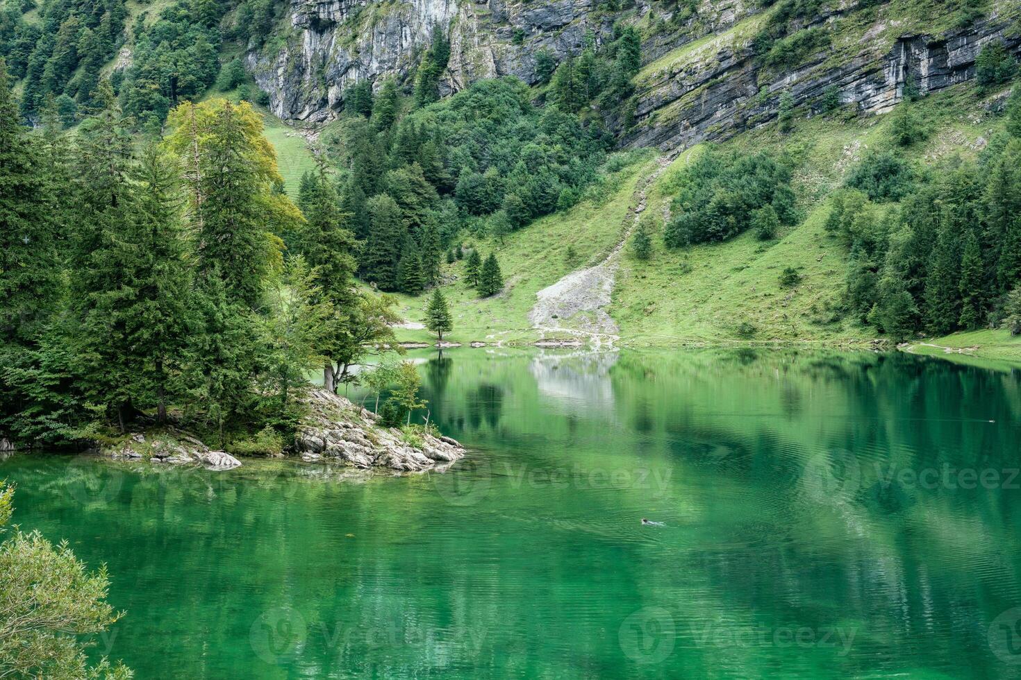 Seealpsee mountain lake reflection in Alpstein mountain range during summer at Appenzell, Switzerland photo