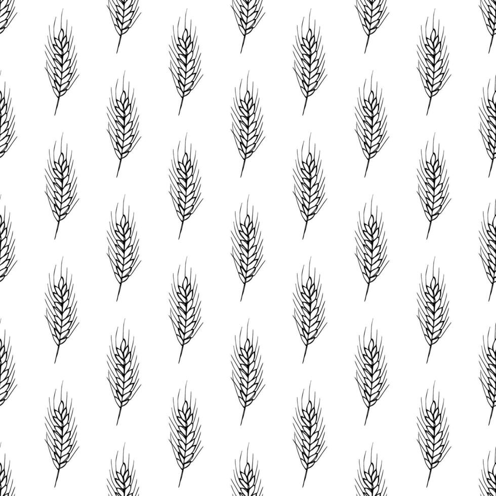 Seamless pattern with wheat doodle for decorative print, wrapping paper, greeting cards, wallpaper and fabric vector