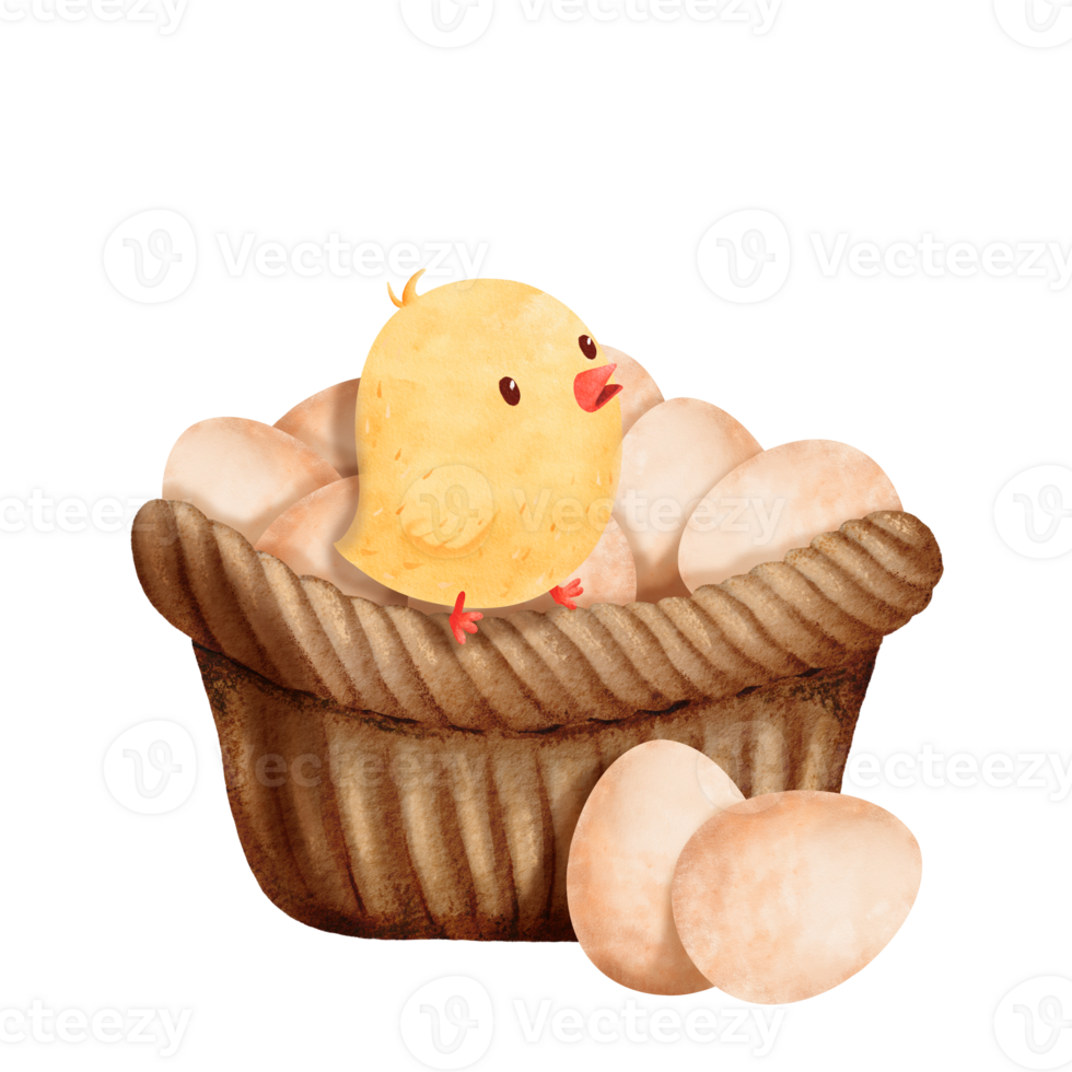 Watercolor composition showcasing a small yellow chick nestled in a woven basket surrounded by chicken eggs. Evokes the delightful essence of a rustic setting. Ideal for conveying warmth and charm png