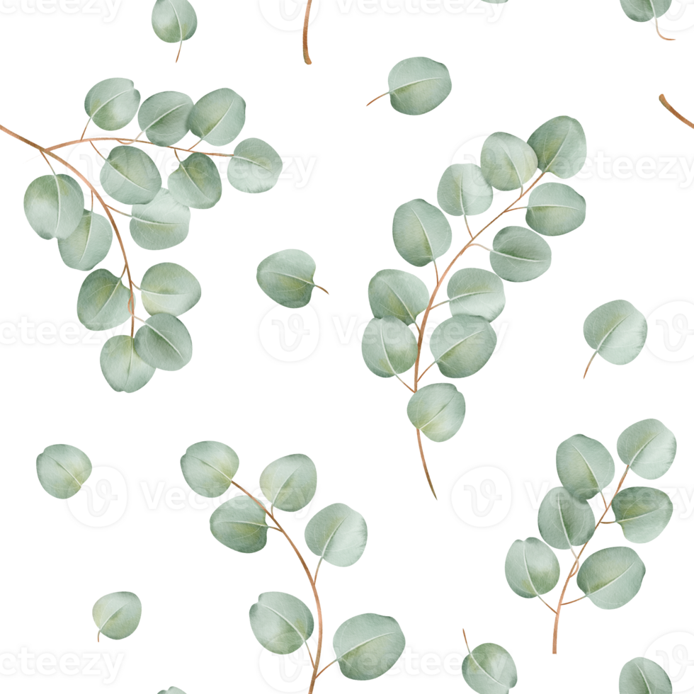 Seamless pattern watercolor eucalyptus branches. for wallpaper, fabric design, stationery, packaging for bringing natural charm and depth to creative project png