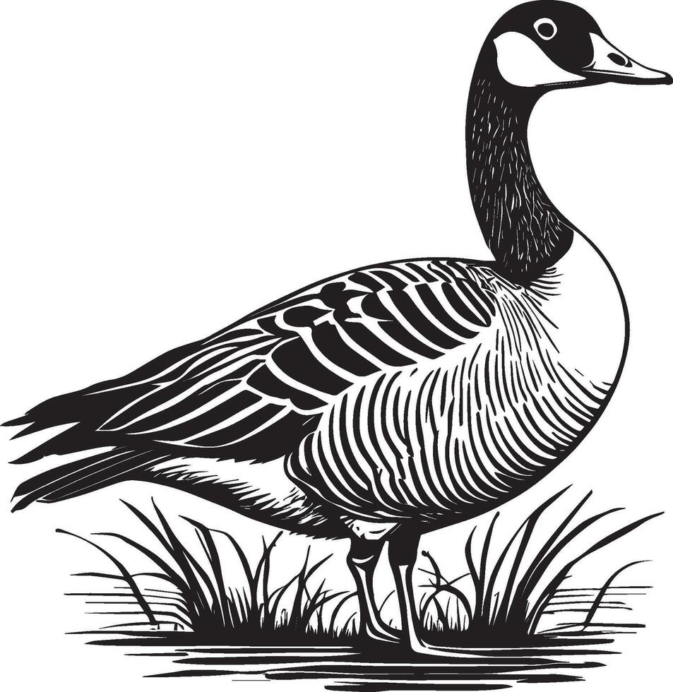 AI generated Canadian Goose Illustration vector
