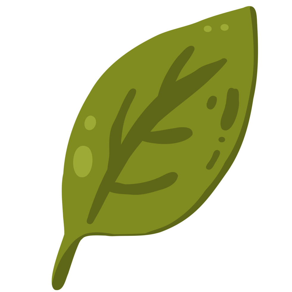 Green leaf illustration png