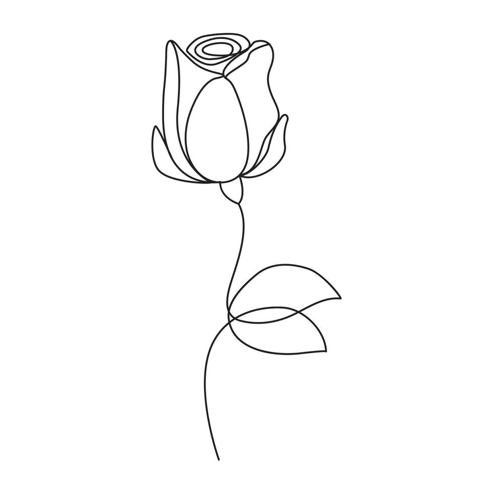 continuous one line artwork of rose flower tulip vector illustration design.