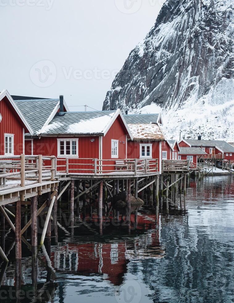 Red cottage fishing village on coastline in winter at Lofoten islands photo