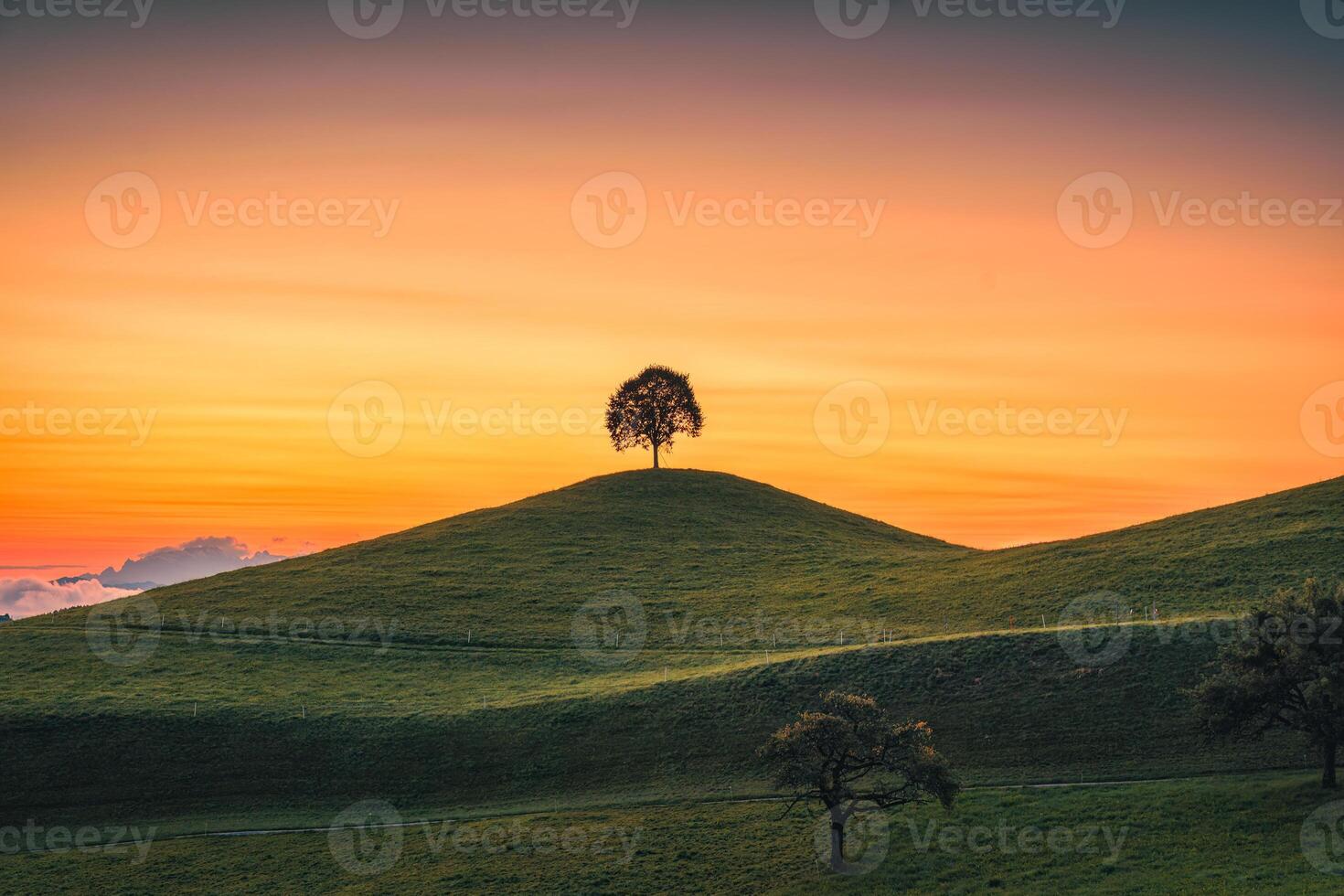 Scenic of sunrise over lonely tree on hill in rural scene photo