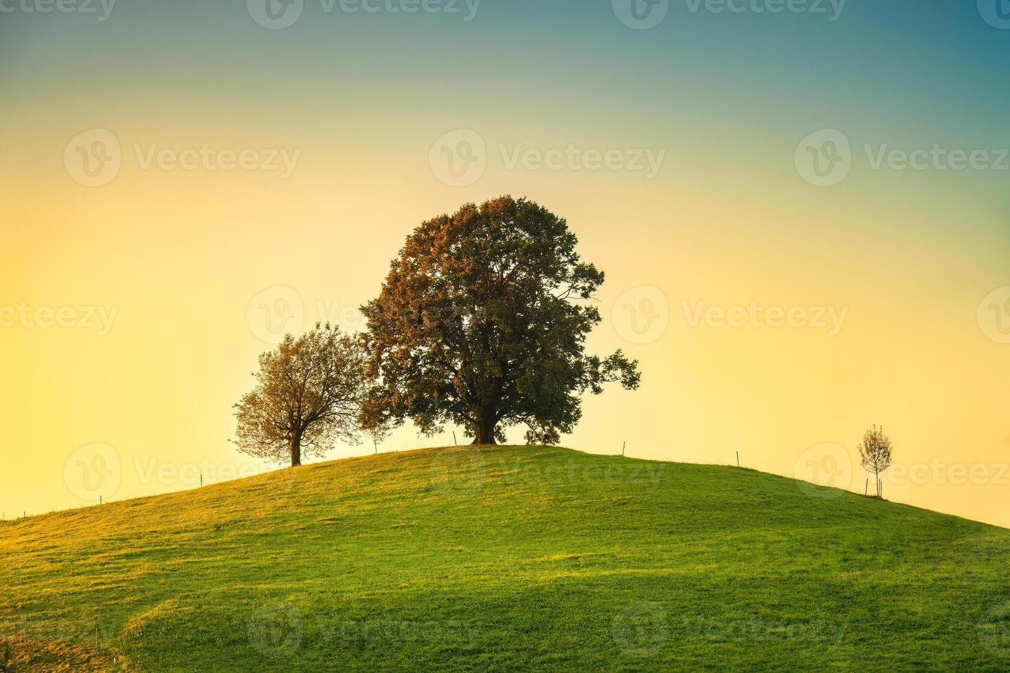 Scenic of sunrise over lonely tree on hill in rural scene photo