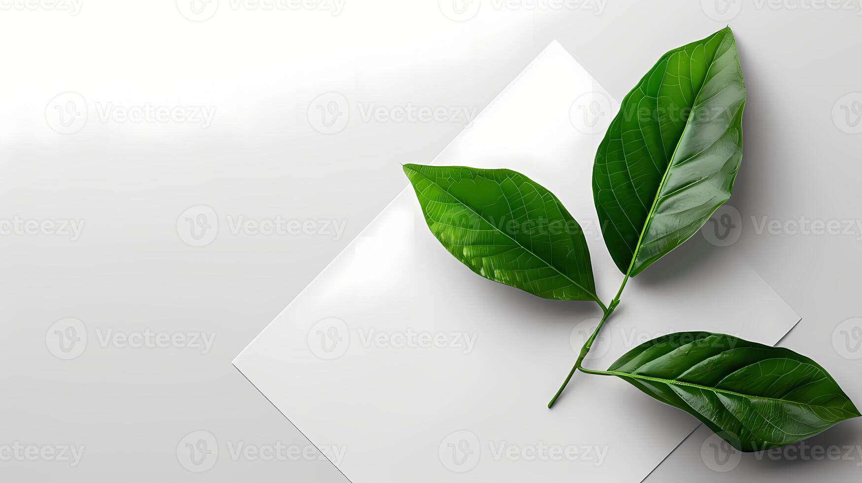 AI generated green leaf wirh white background photo