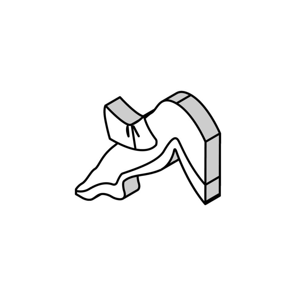 pierna pelo depilación hembra isométrica icono vector ilustración