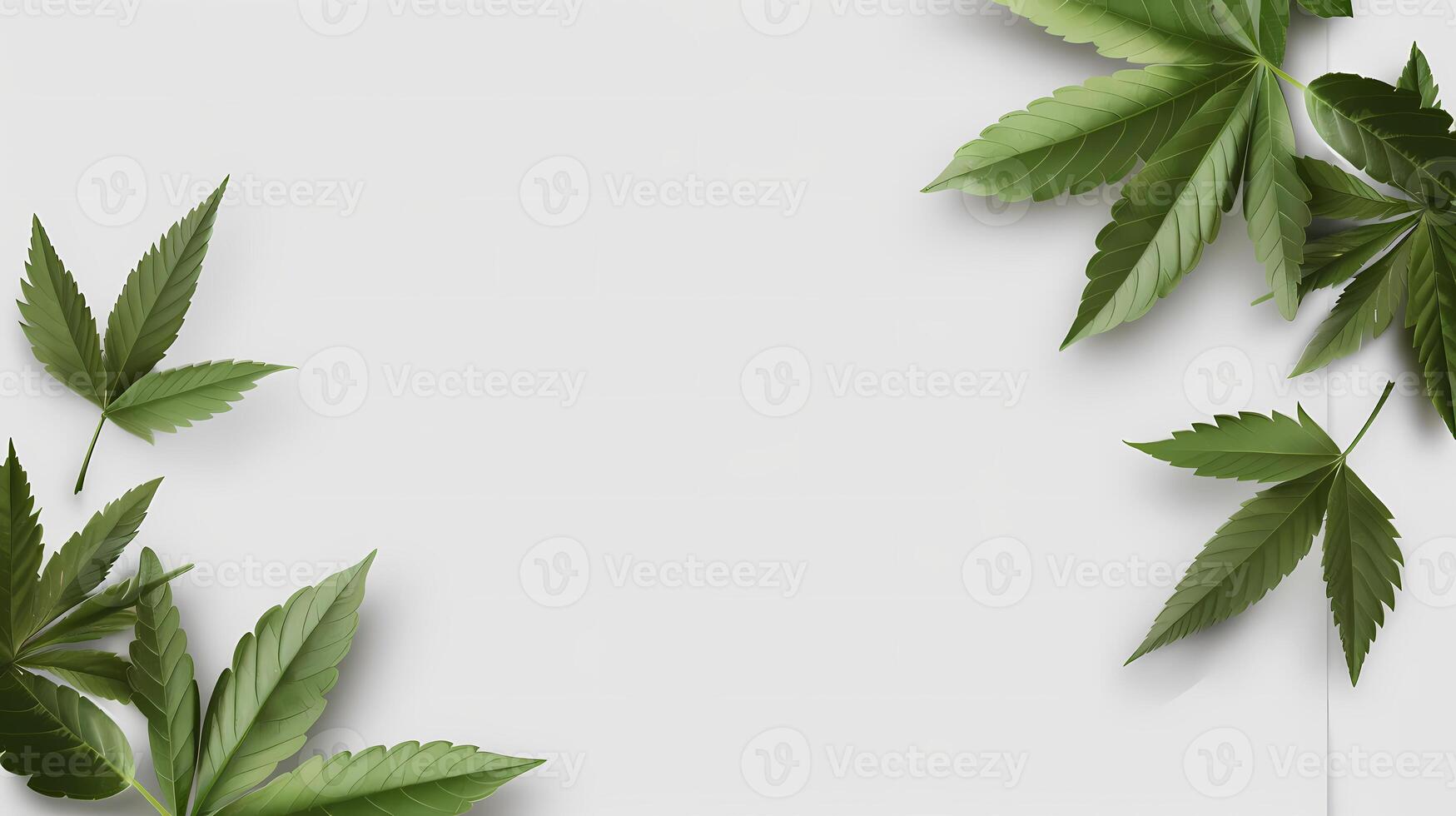 AI generated green leaf wirh white background photo
