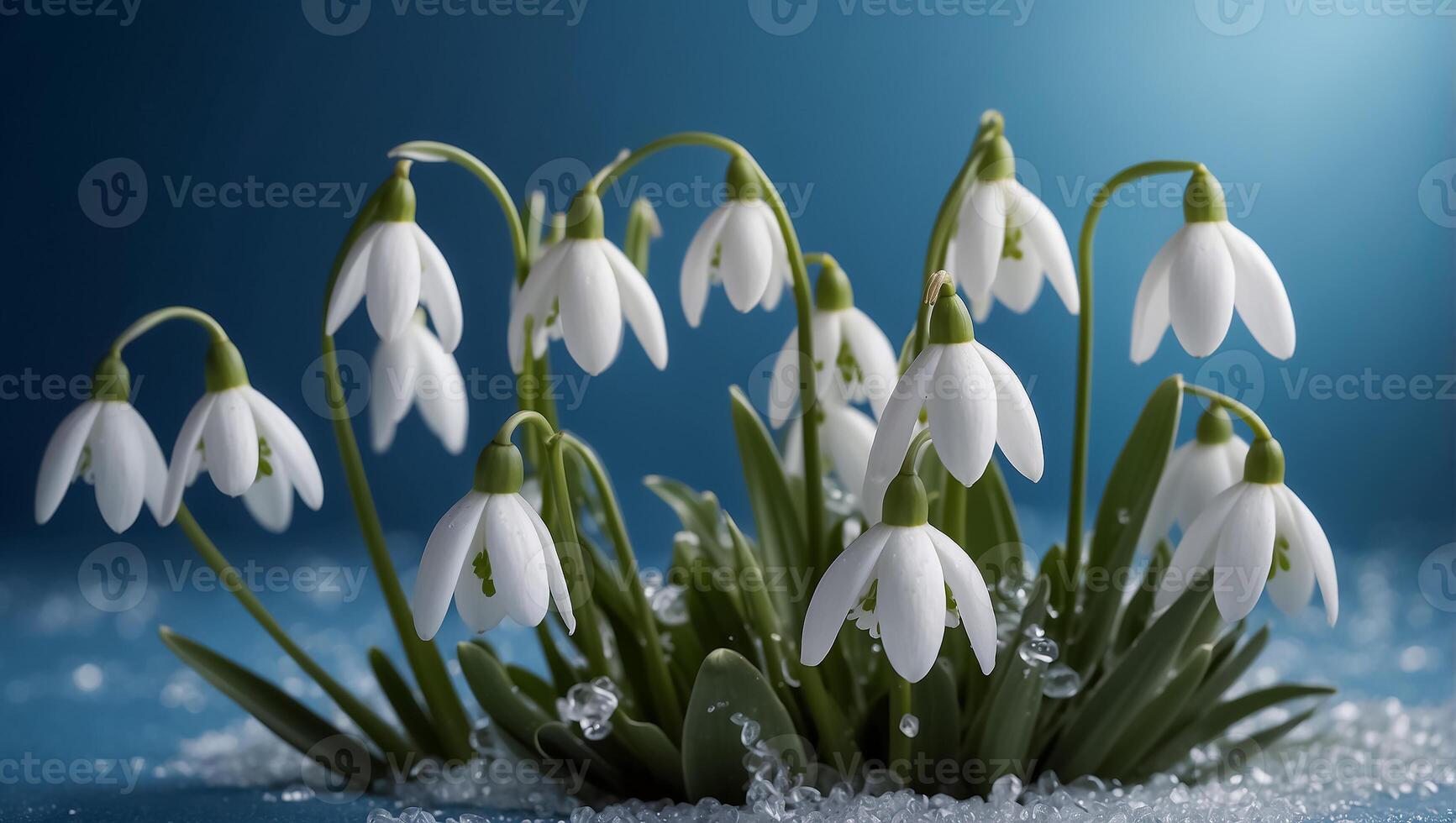 AI generated beautiful snowdrops on a blue background photo