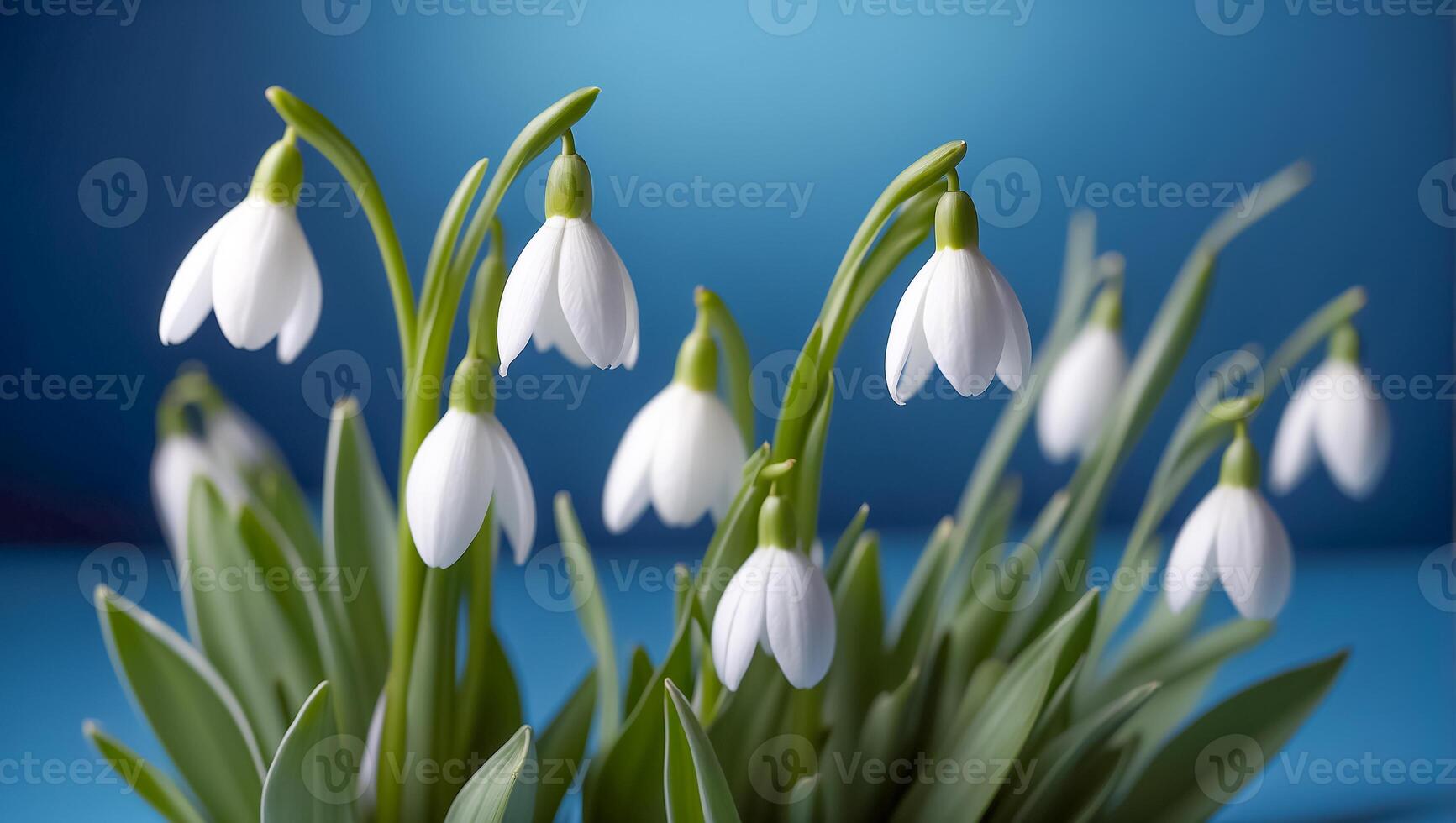 AI generated beautiful snowdrops on a blue background photo