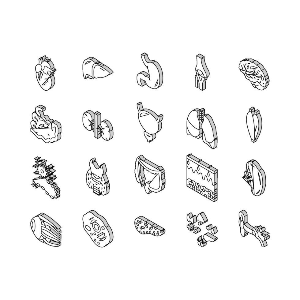 Human Internal Organ Anatomy isometric icons set vector