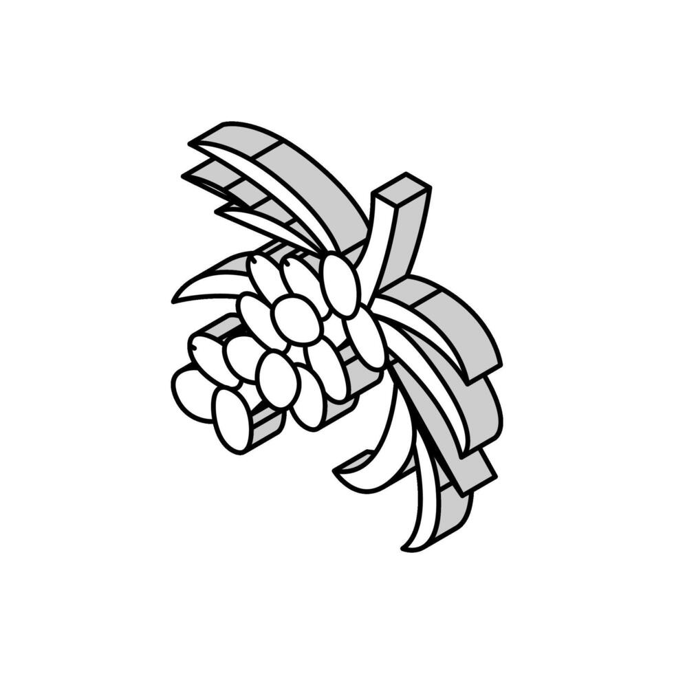 espino cerval baya árbol rama isométrica icono vector ilustración
