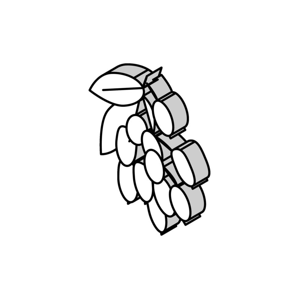 goji baya y hojas isométrica icono vector ilustración