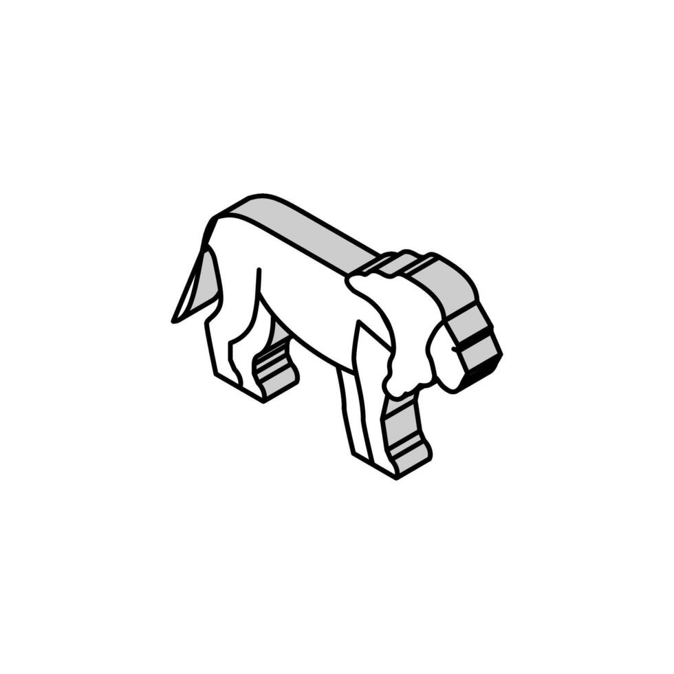 león animal en zoo isométrica icono vector ilustración
