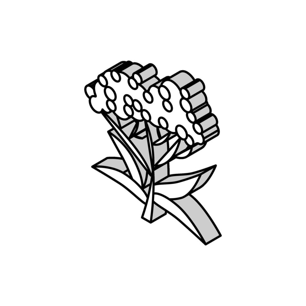 elderberry tree branch isometric icon vector illustration