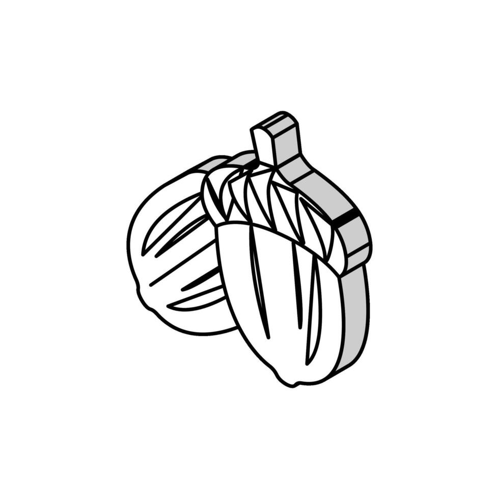 acorn nut isometric icon vector illustration