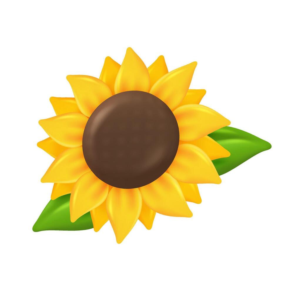 3D blooming sunflower. Yellow sunflowers bloom in spring. Decorative elements for products from sunflower oil. 3D vector Illustration.