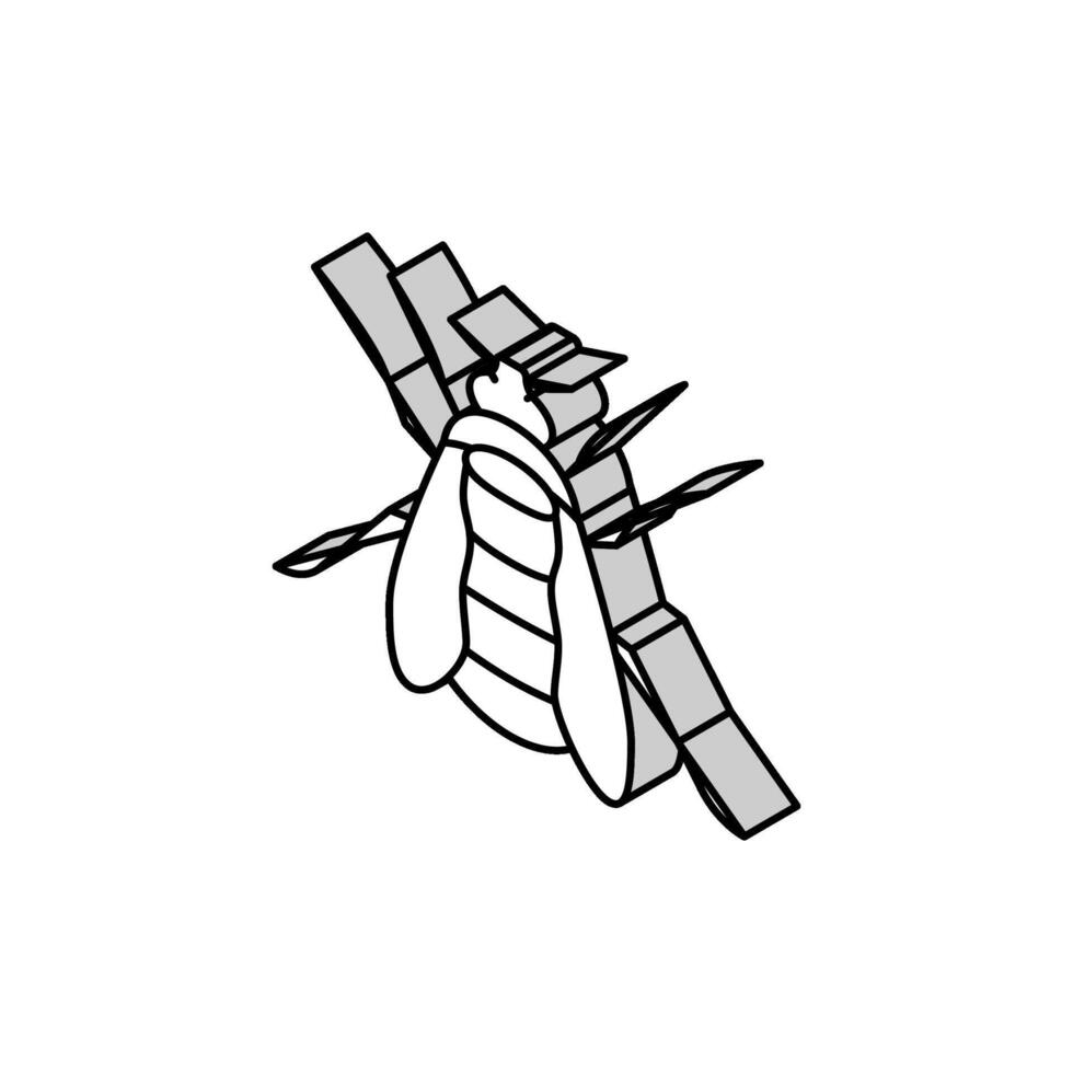 bumblebee insect isometric icon vector illustration