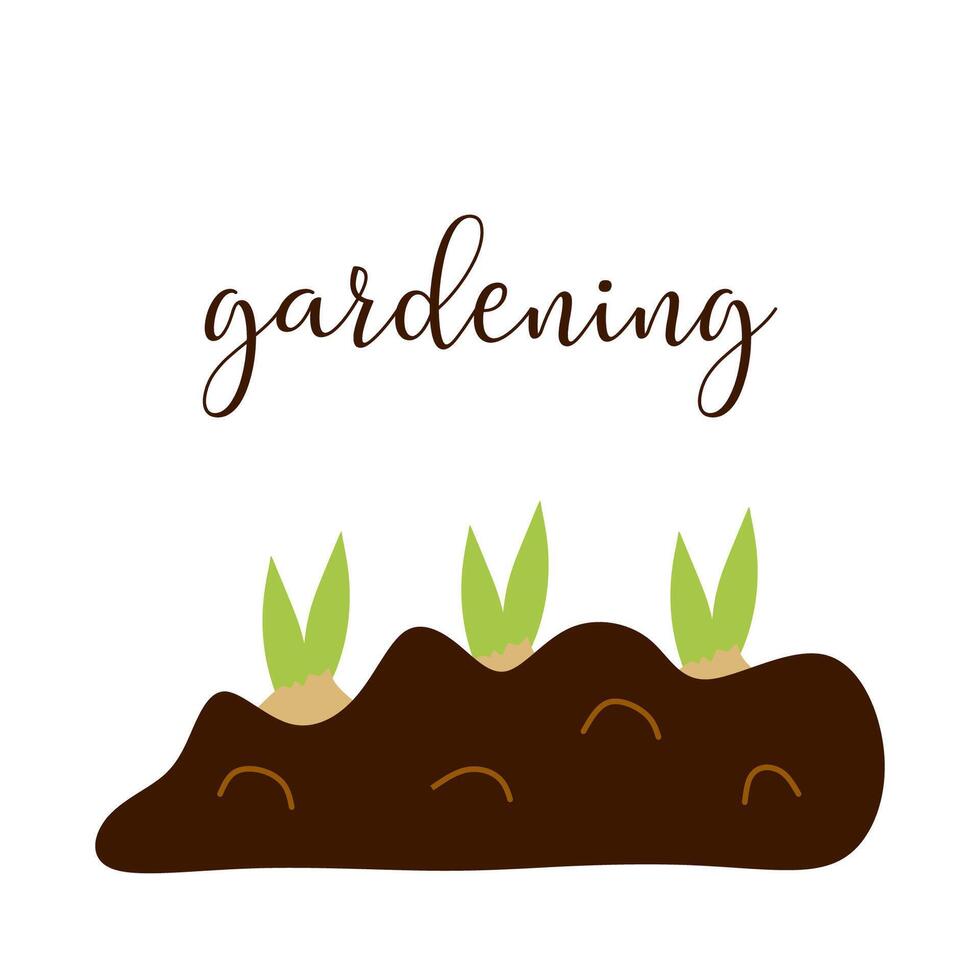 Tres flor bulbillos plantado en el suelo con letras texto jardinería. vector plano o dibujos animados ilustración aislado en blanco. primavera cultivo y planta creciente. diseño elemento para tarjeta, póster.