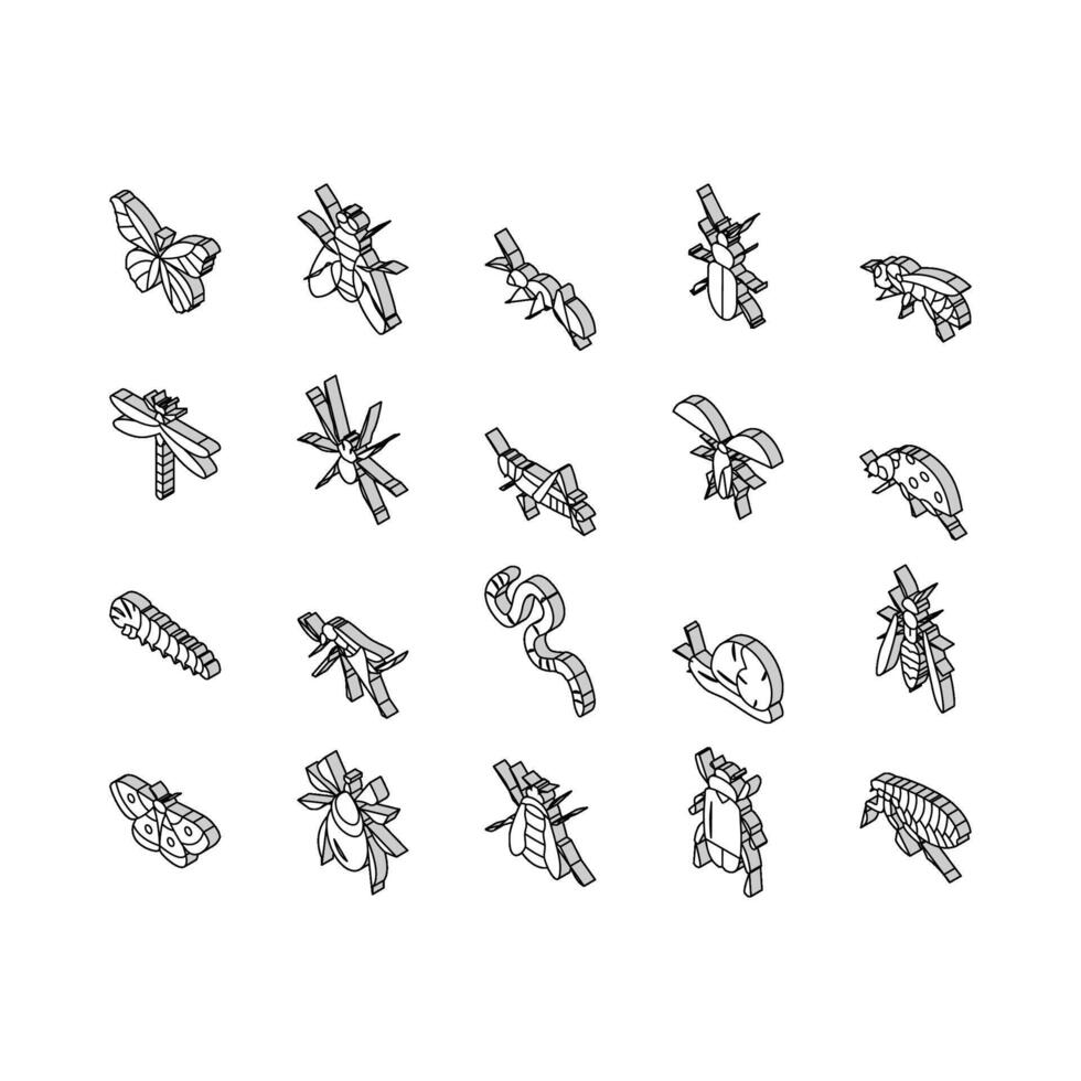 Insect, Spider And Bug Wildlife isometric icons set vector