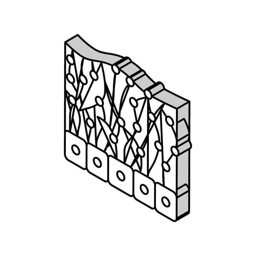 mesotelio salud problema isométrica icono vector ilustración