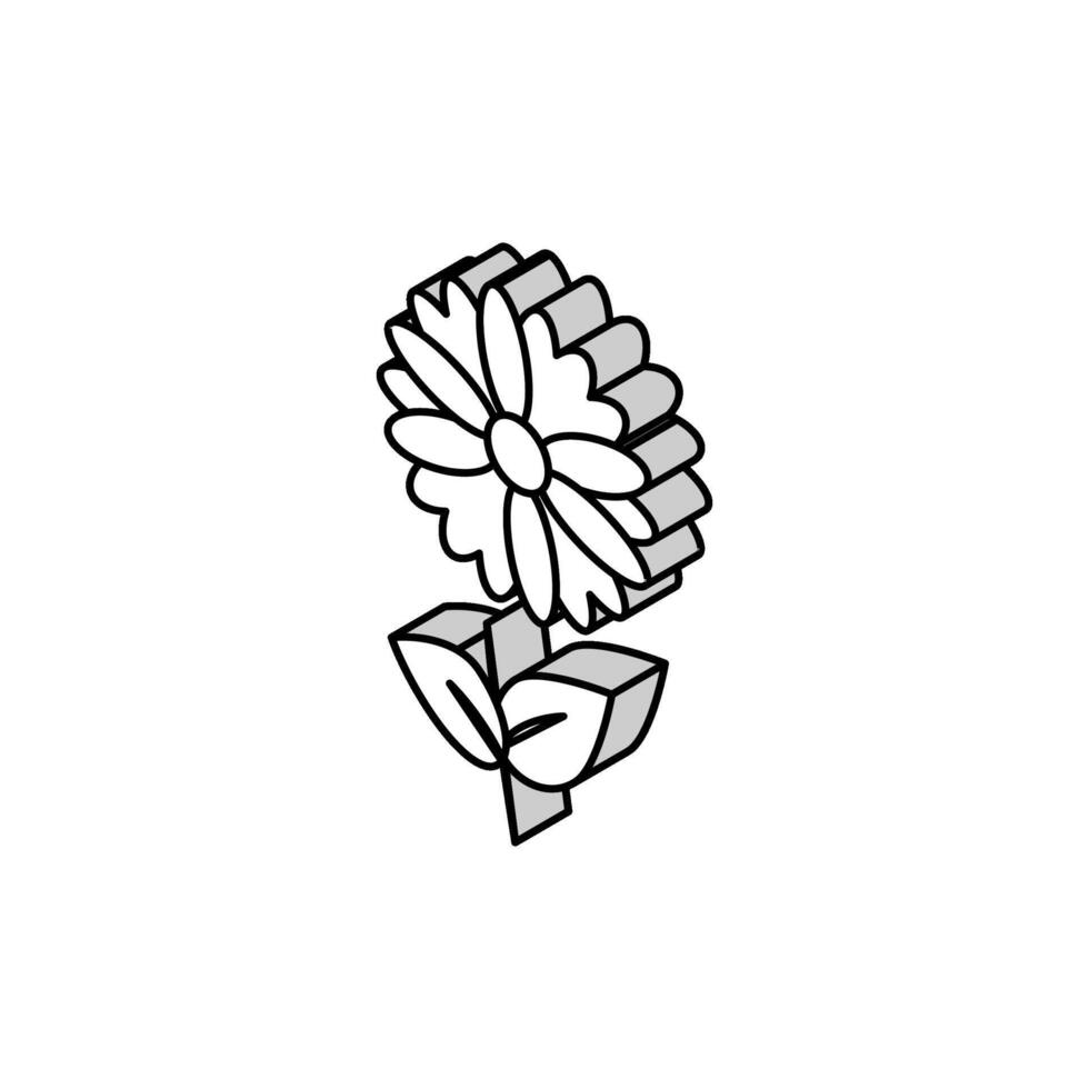 chamomile flower aromatherapy isometric icon vector illustration