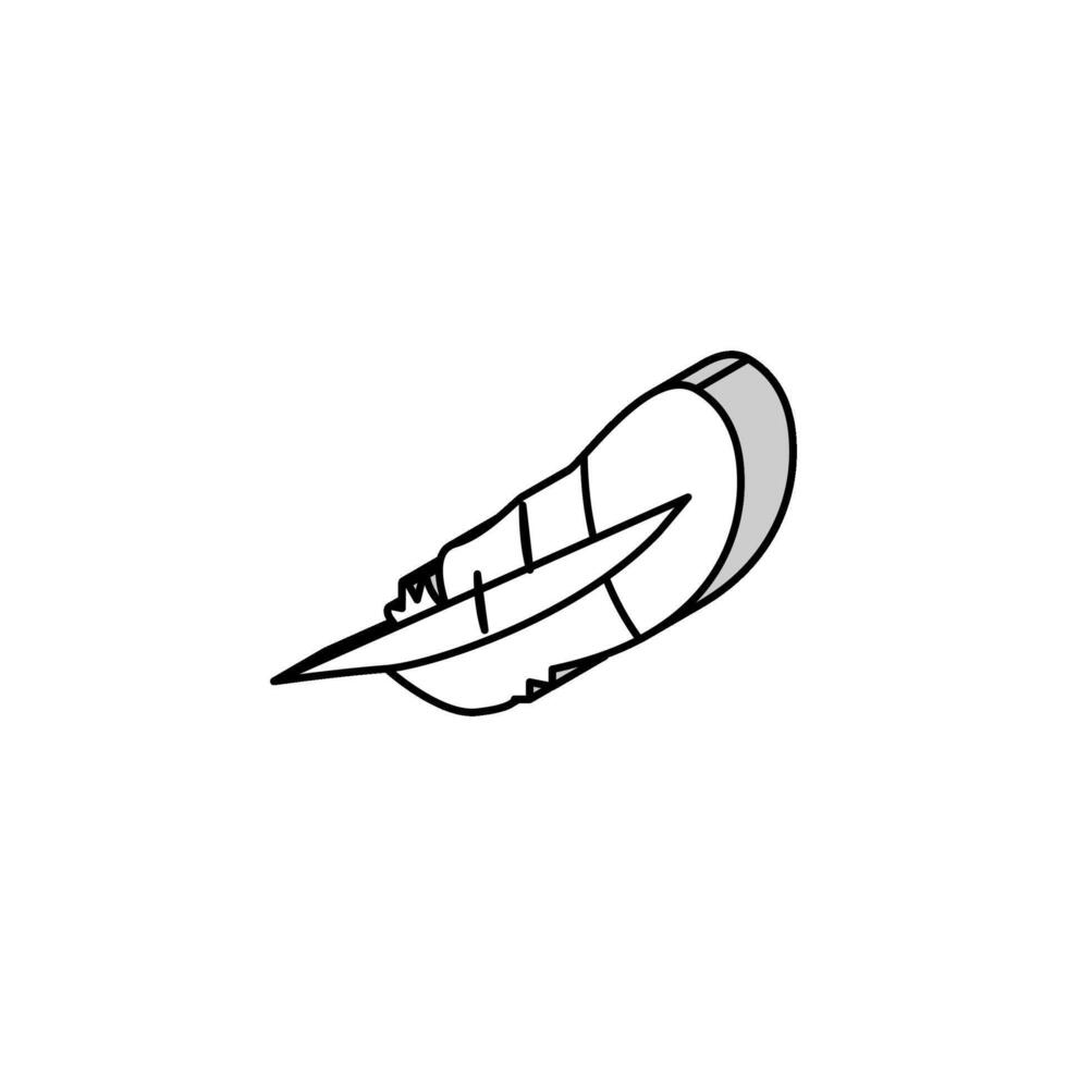 feather bird isometric icon vector illustration