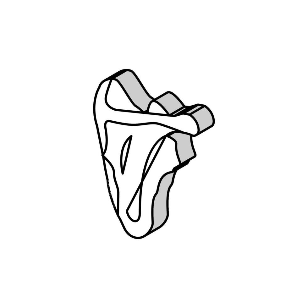 rib bone isometric icon vector illustration