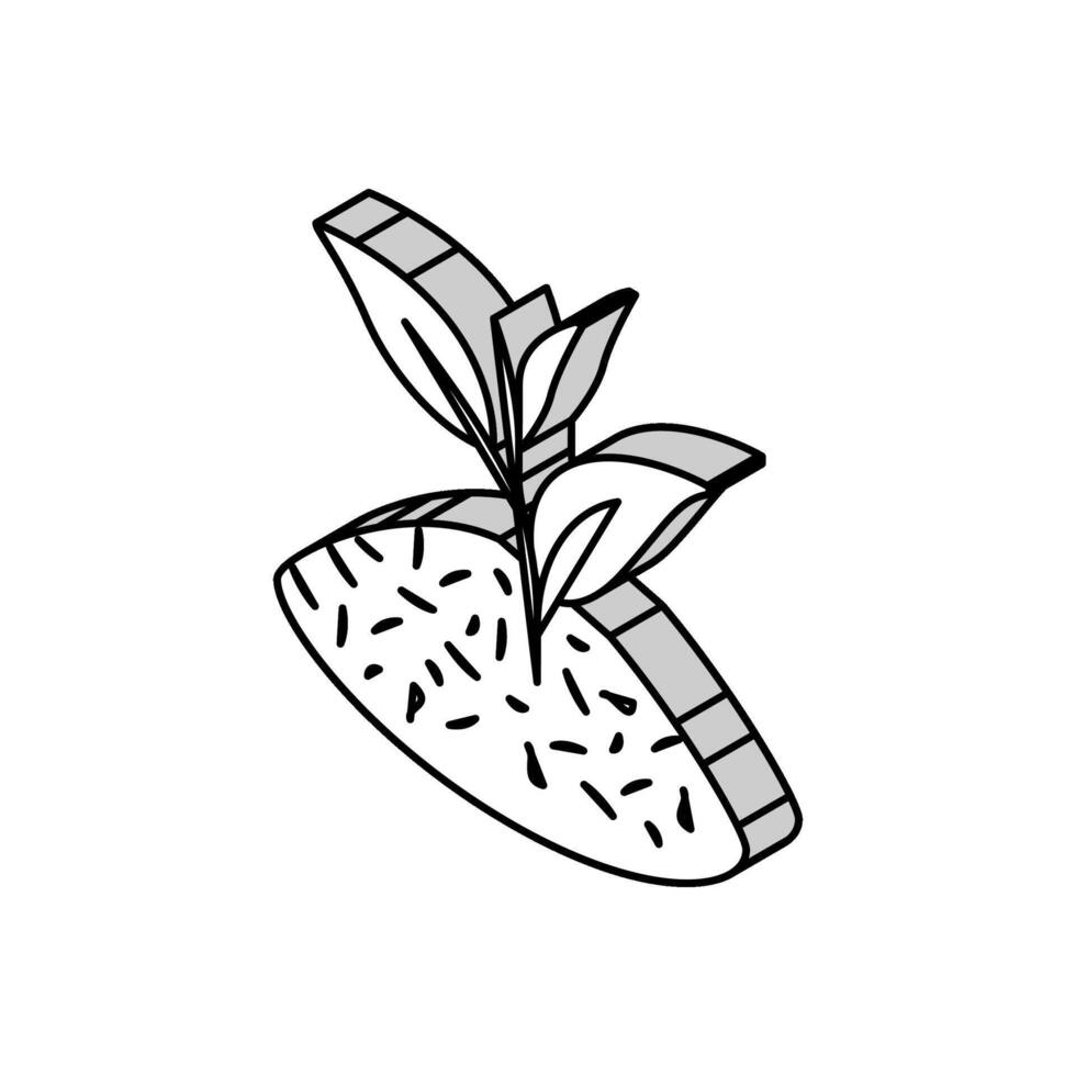 tea leaf isometric icon vector illustration