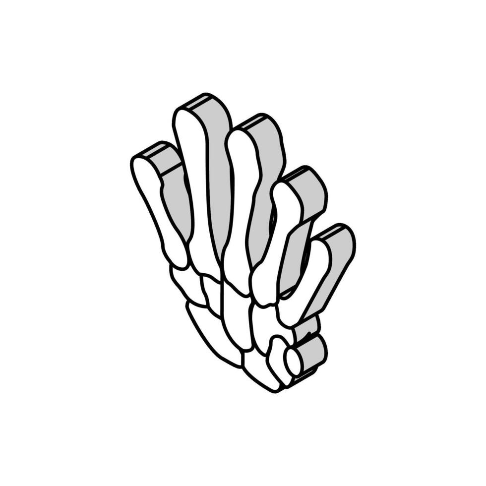 elbow bone isometric icon vector illustration