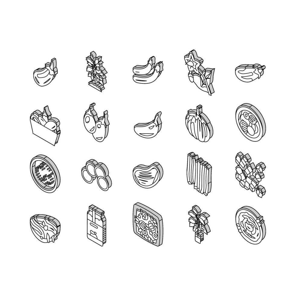 Eggplant Vitamin Bio Vegetable isometric icons set vector