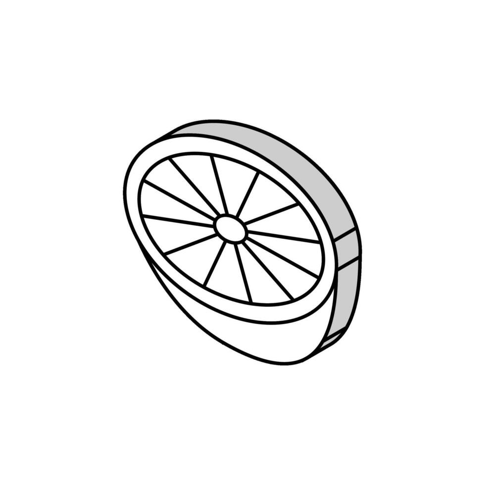 half lime isometric icon vector illustration