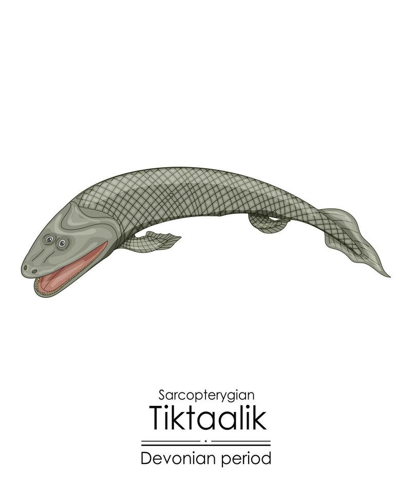 tiktaalik, un enlace Entre acuático pescado y tetrápodos. vector