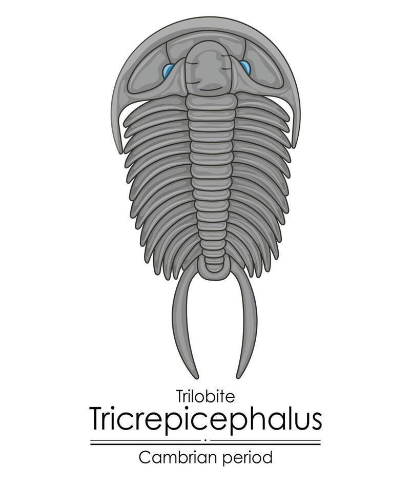 trilobite tricrepicéfalo, un cambriano período criatura vector