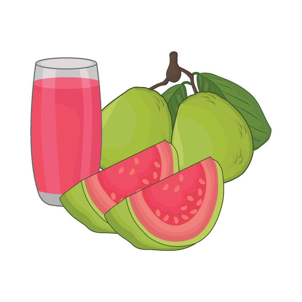 illustration of guava juice vector
