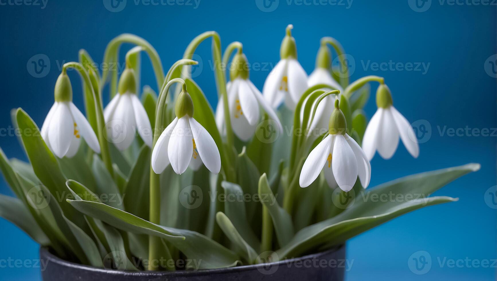 AI generated beautiful snowdrops on a blue background photo