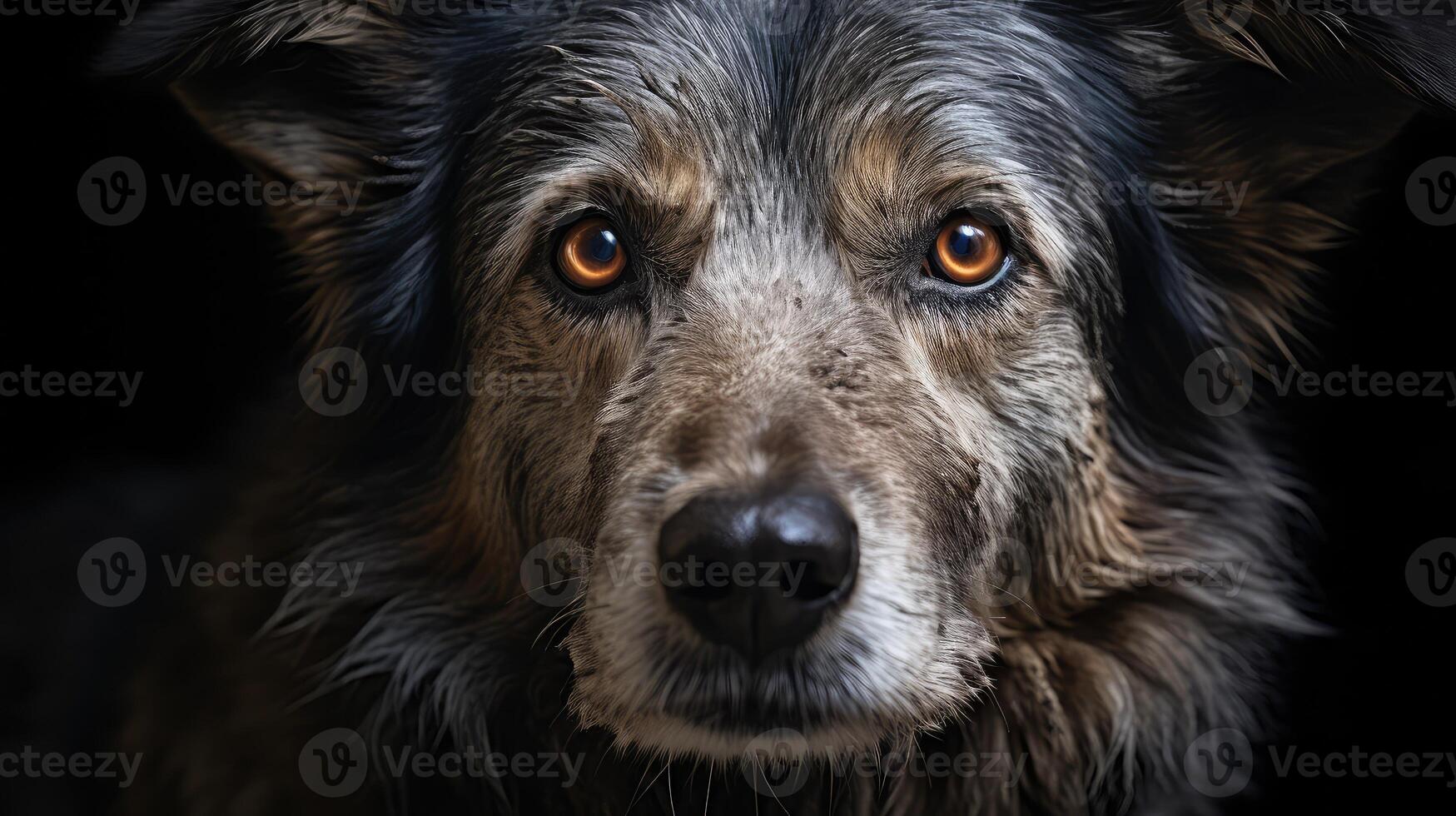AI generated geriatric elderly dog ai generated photo