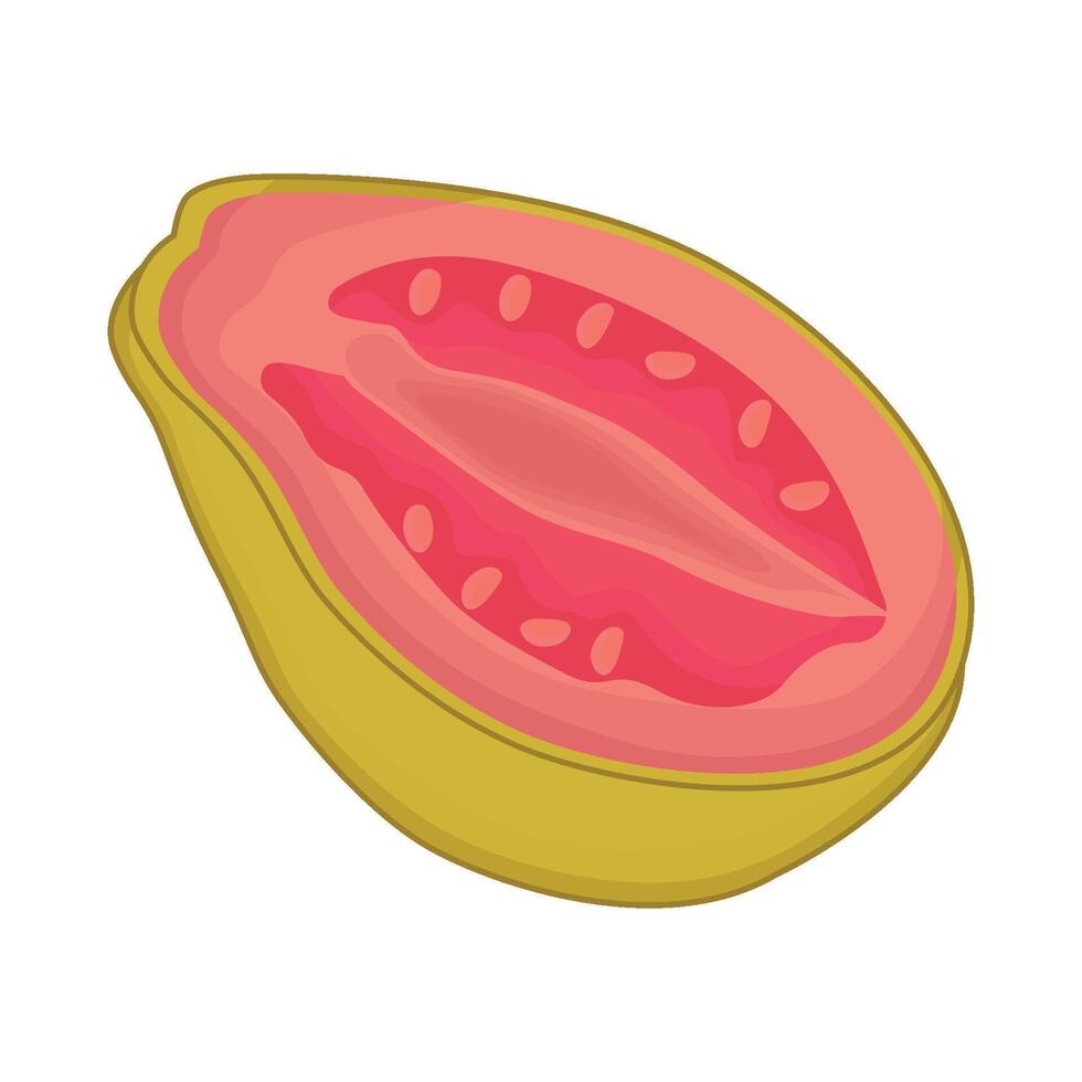 illustration of guava vector