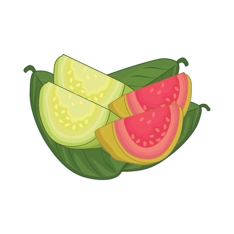 ilustración de guayaba vector