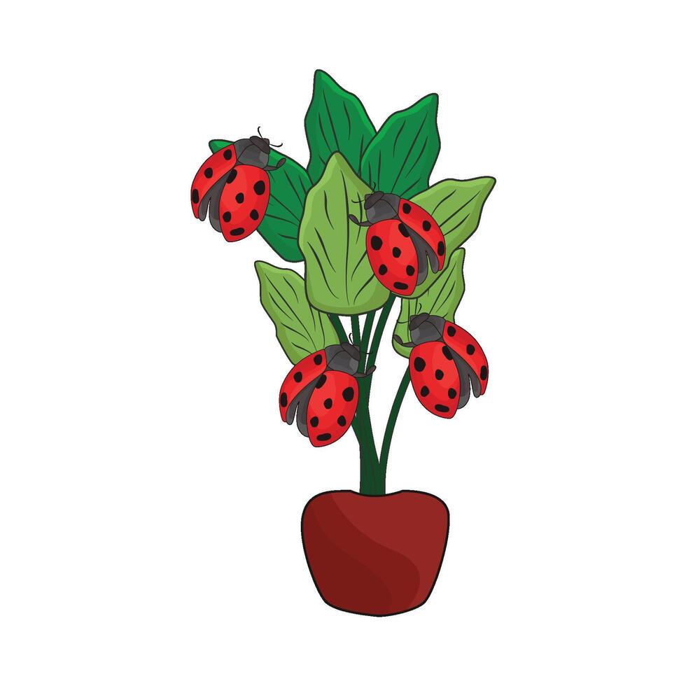 ilustración de mariquita con planta vector