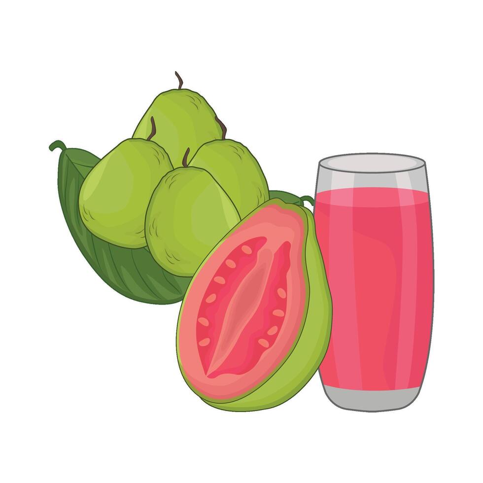 ilustración de guayaba jugo vector