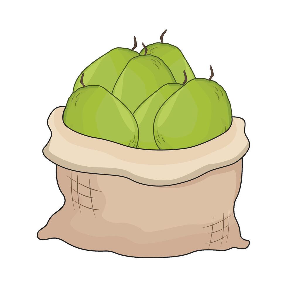 illustration of guava vector