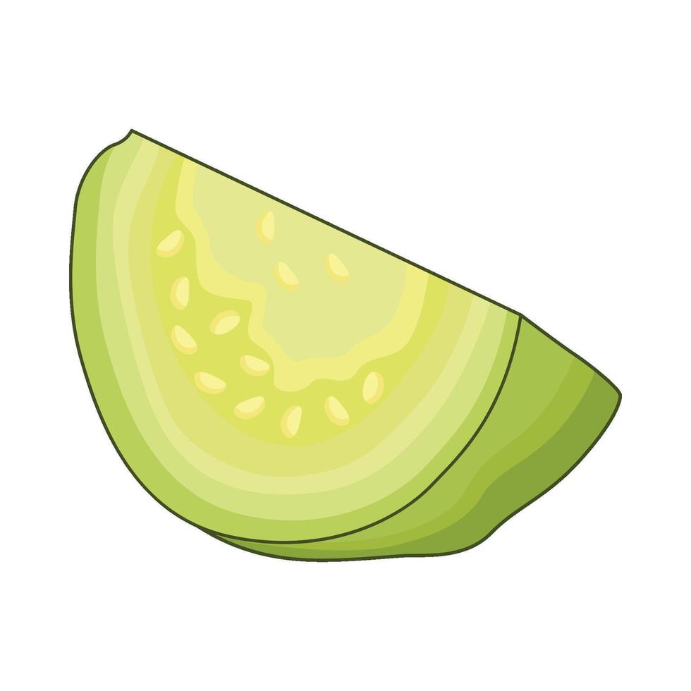 illustration of guava vector