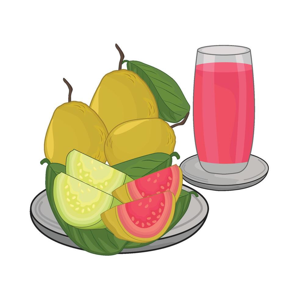 illustration of guava juice vector