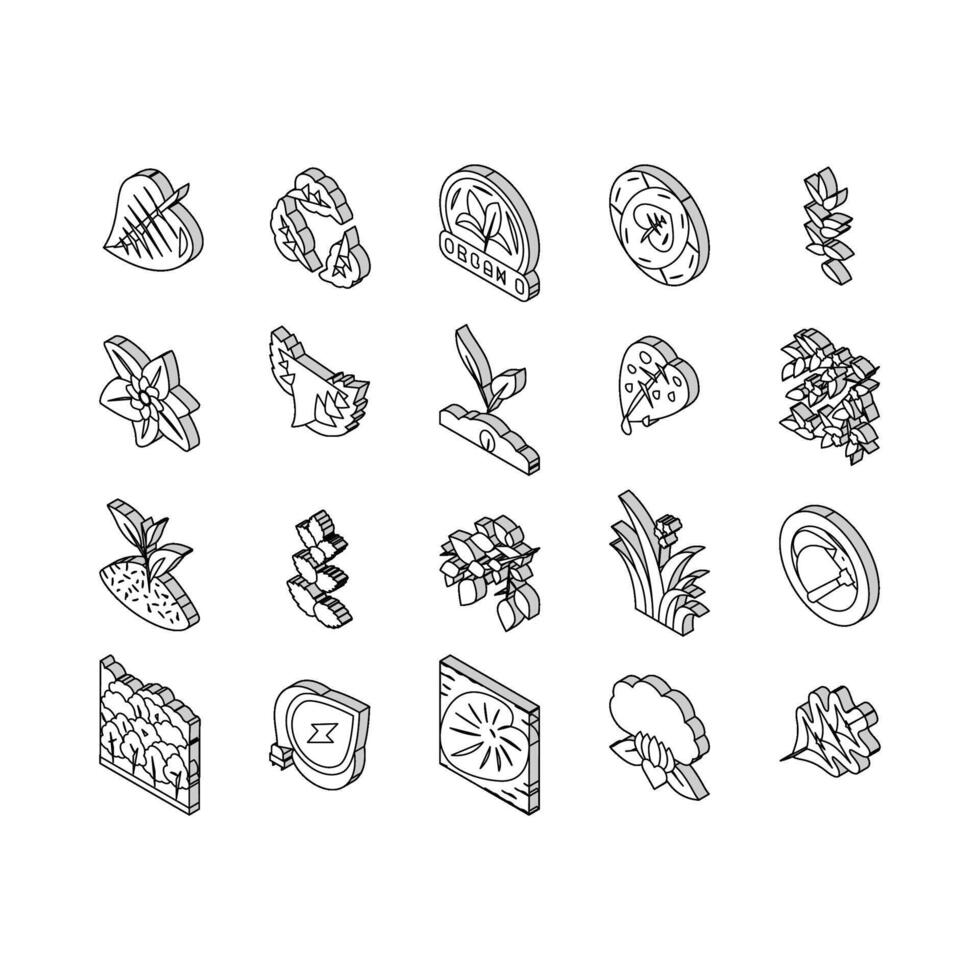 Leaf Branch Natural Foliage Tree isometric icons set vector