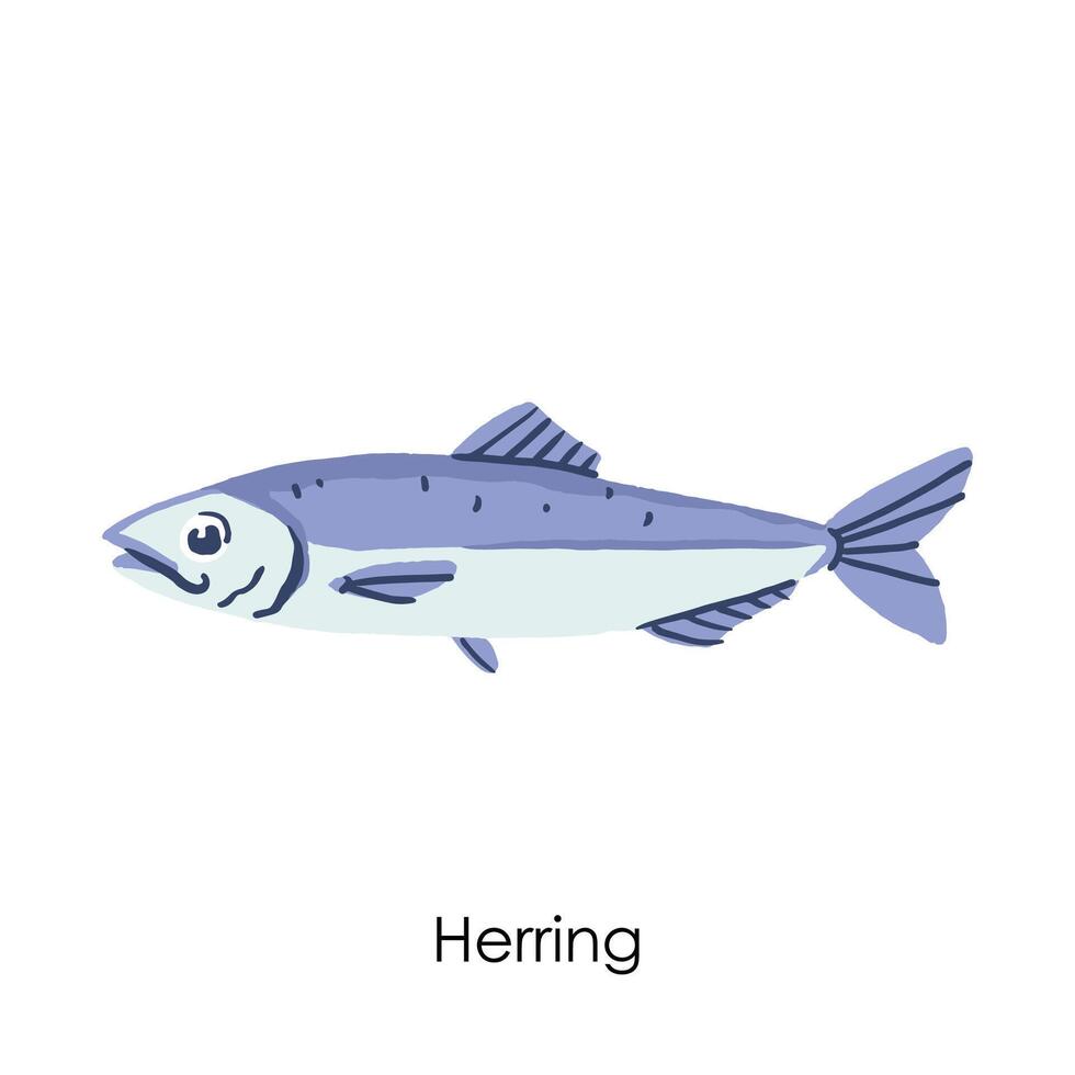 Herring Edible Salt Water Fish Element vector