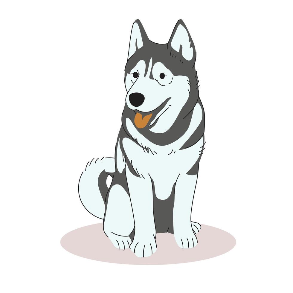 Cute Siberian Husky Dog vector